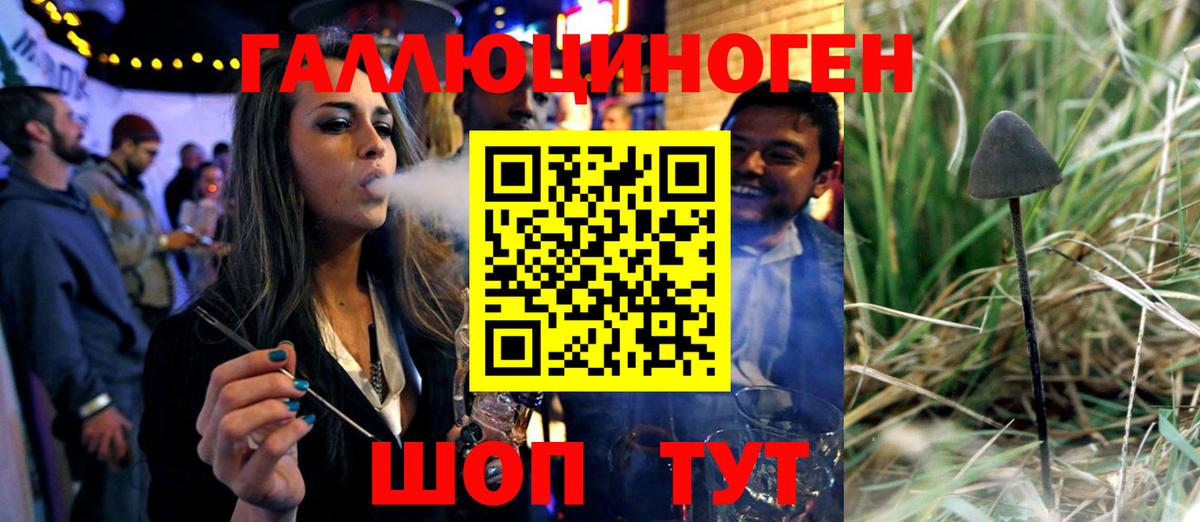 Волжский  Галлюциногенные грибы мухоморы  Вход с VPN 