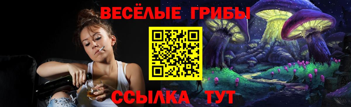Галлюциногенные грибы Cubensis Волжский